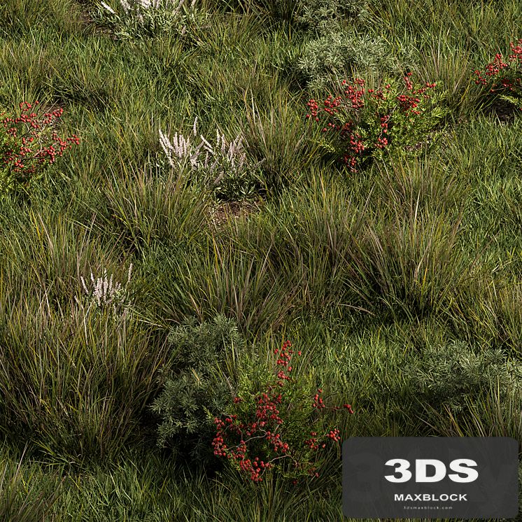 Nature Meadow - Grass Set 17