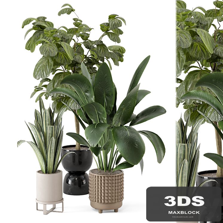 Indoor Plants in Ferm Living Bau Pot Large - Set 1044