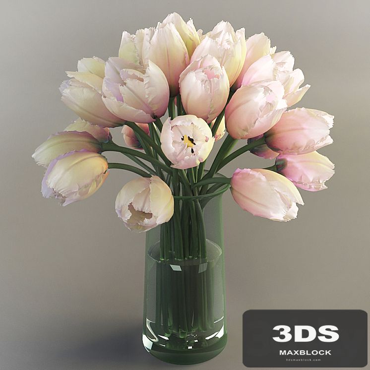 Tulips, Tulips