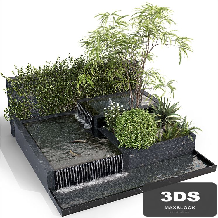 Water Ponds With Plants & fish