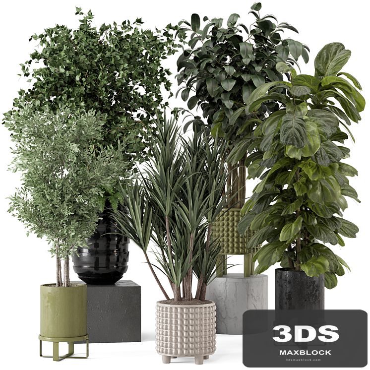 Indoor Plants in Ferm Living Bau Pot Large - Set 1053