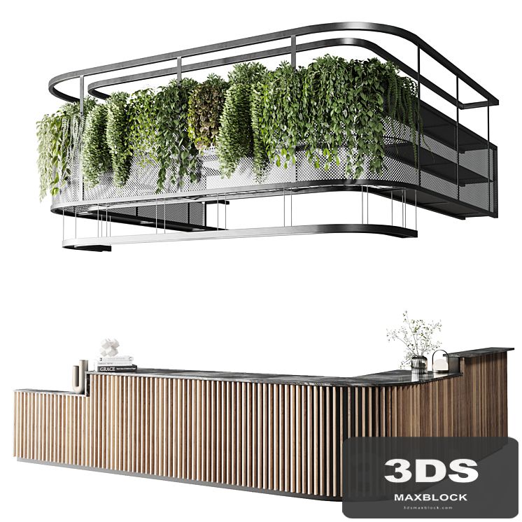 Coffee shop reception, Restaurant counter by hanging plant - 03