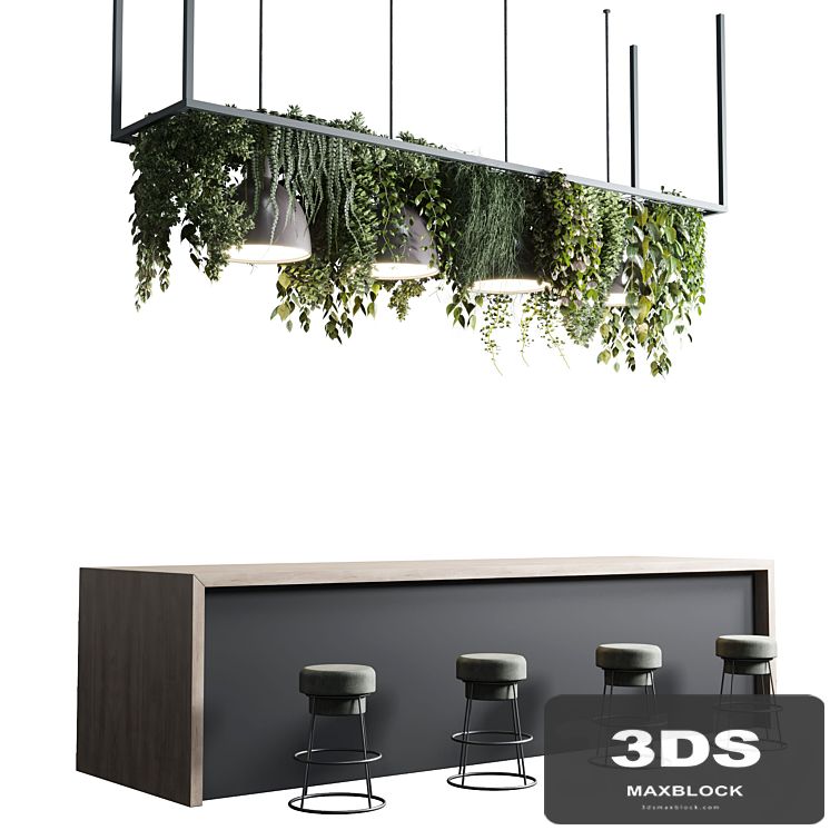 Coffee shop reception, Restaurant counter by hanging plant - 04