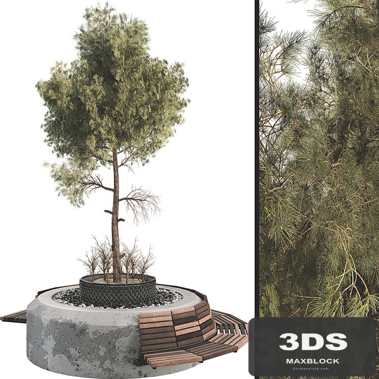 Outdoor Plant Set 06