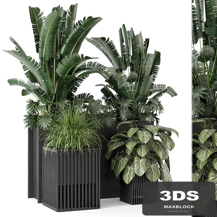 Outdoor Plants Bush in Metal Pot - Set 1074