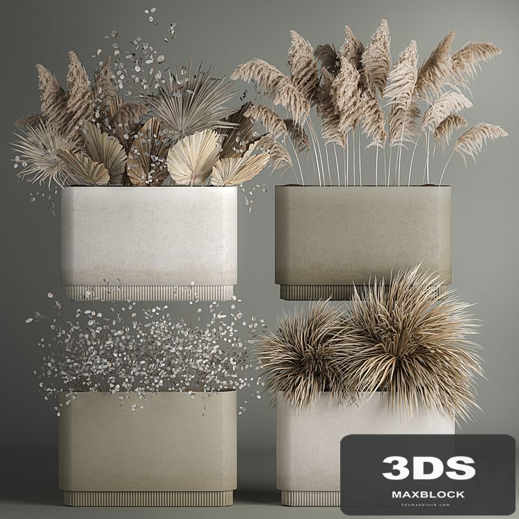 Collection of plant bouquets of dried flowers, moonflower, dry palm branches, dry grass, natural decor .1121.