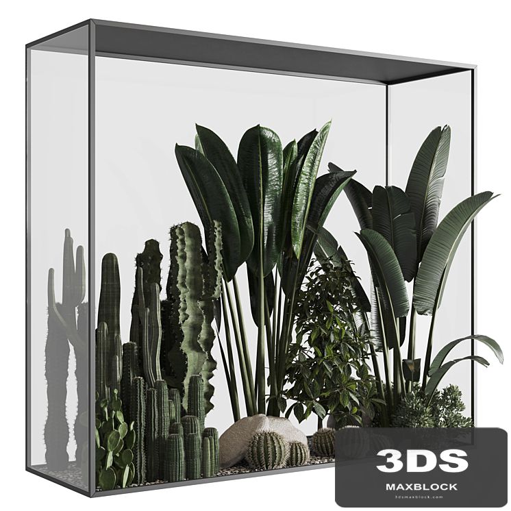 Plants behind glass 02