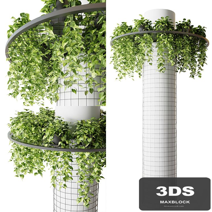 Column with hanging plants (epipremnum)