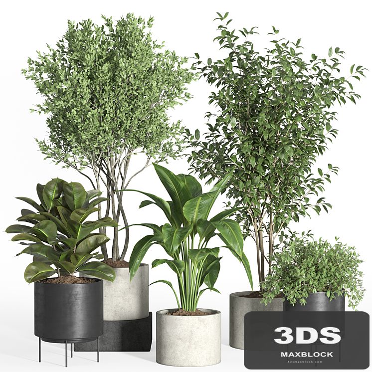 indoor plant set 35-concrete and metal pot
