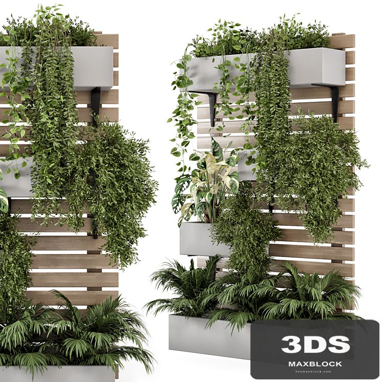 Indoor Hanging Plants in Metal Stand - Set 1131