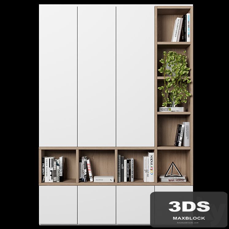 Cabinet with shelves 48