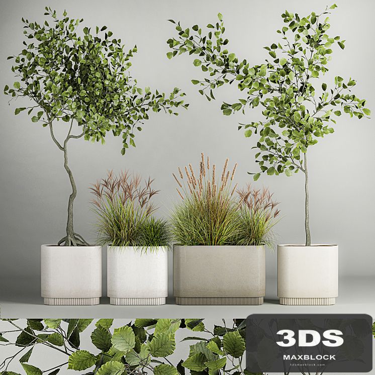 A set of plants with trees for the street and interior, a flowerpot with bushes, potted grass. 1124.