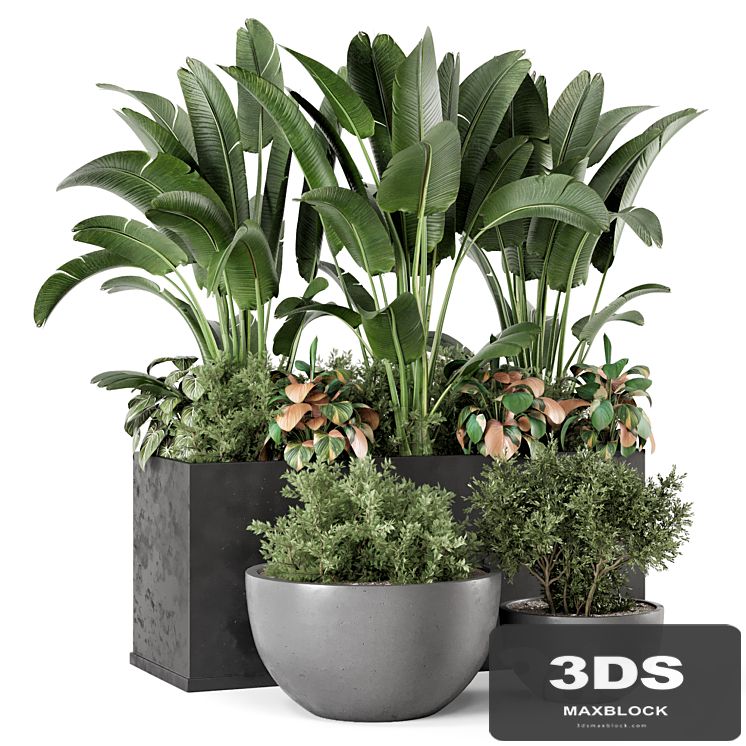 Outdoor Garden set Bush and Tree - Garden Set 1144