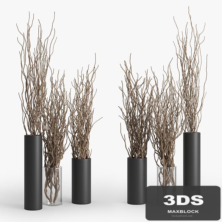 Dry Branch