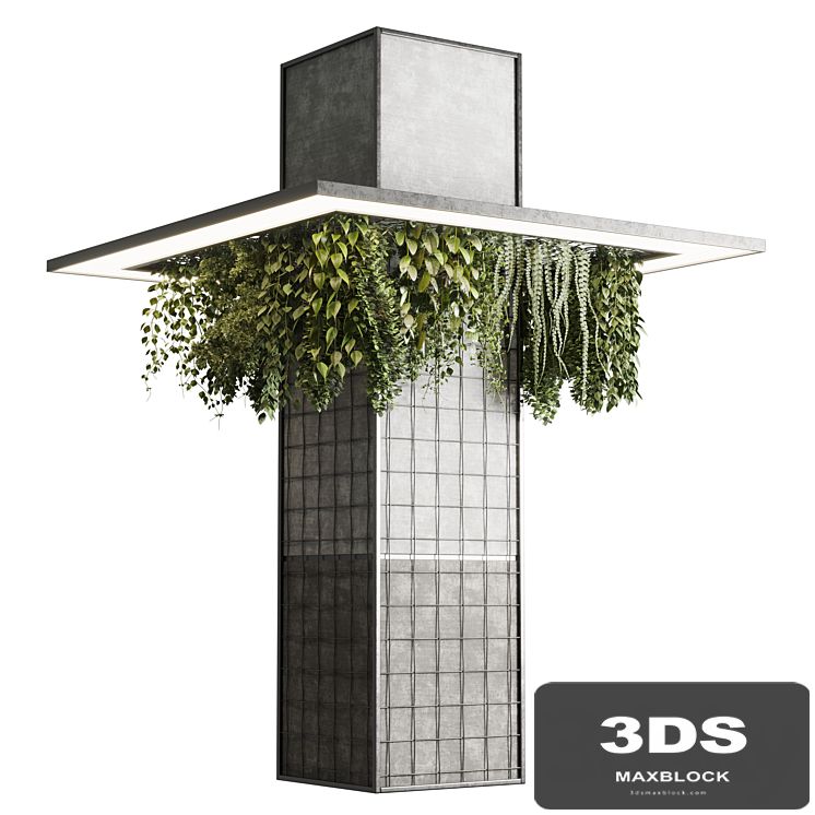 Column plant - pillar plant 05