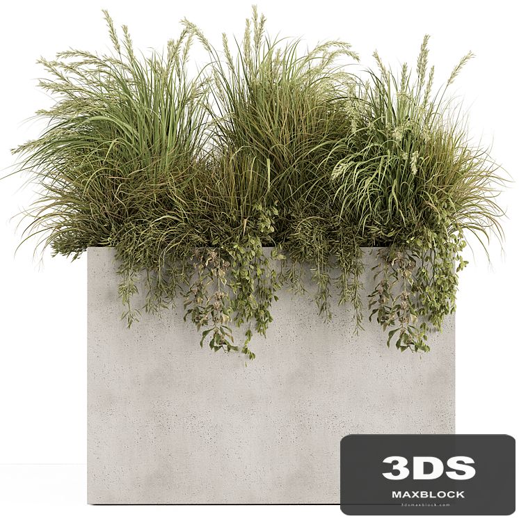 Plant Box - Outdoor Plants 480