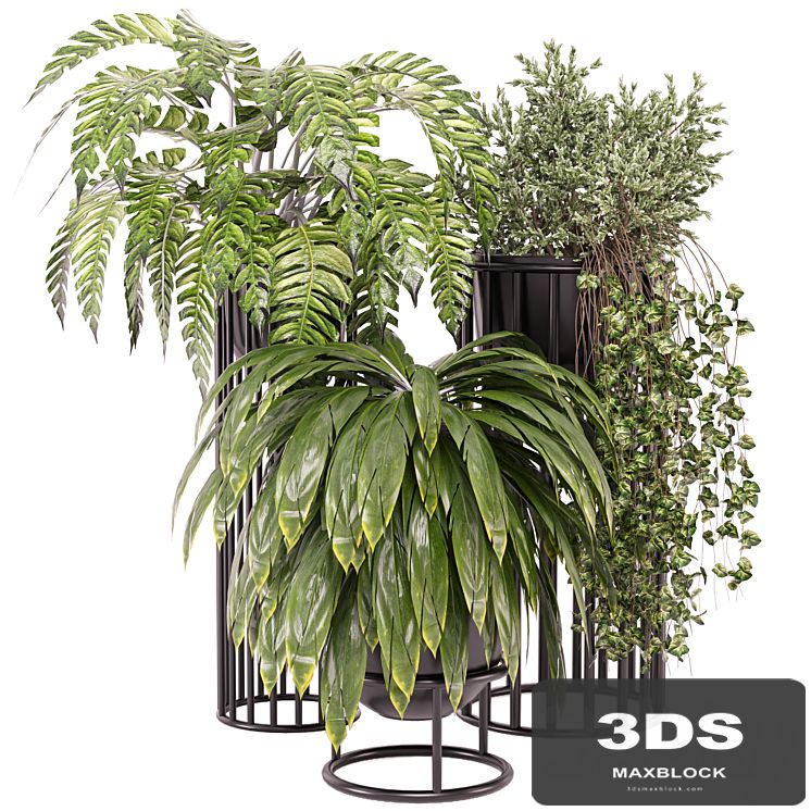 indoor Plants Collection - Set 614