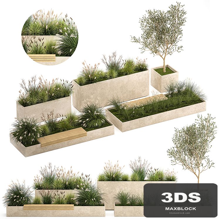 Collection of plants for the urban environment with a flower bed, a bench and concrete outdoor flowerpots, bushes and grass, Miscanthus, olive tree, garden. 1141.