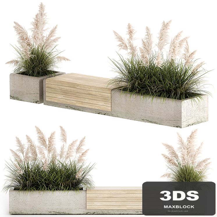 Bench flowerbed for the urban environment in a concrete flowerpot with bushes of reeds and pampas grass, Cortaderia. 1144.
