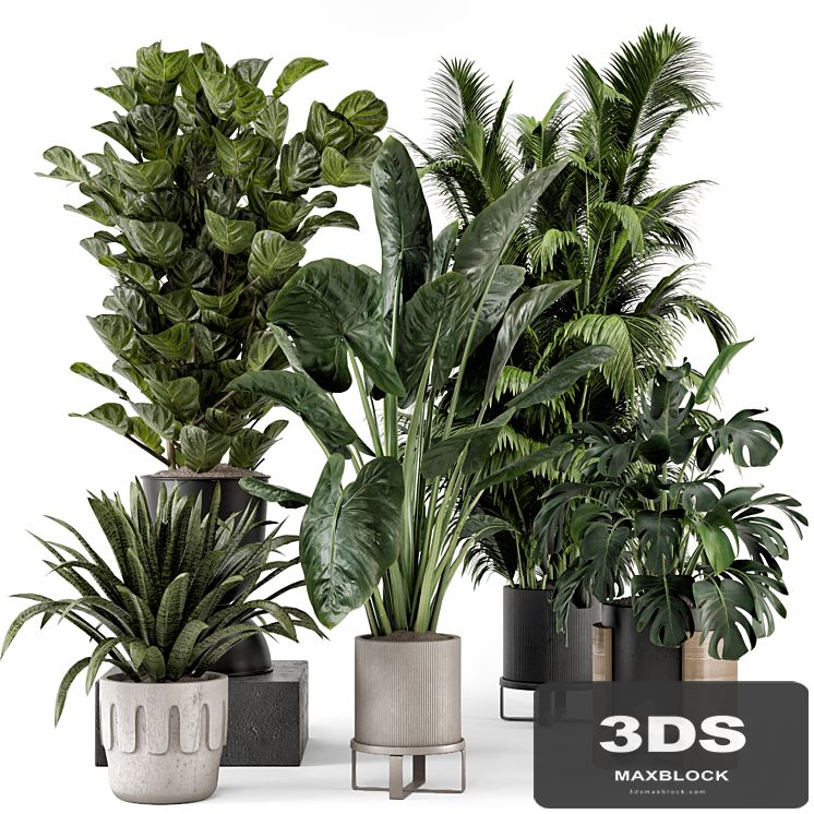 Indoor Plants in Ferm Living Bau Pot Large - Set 1188