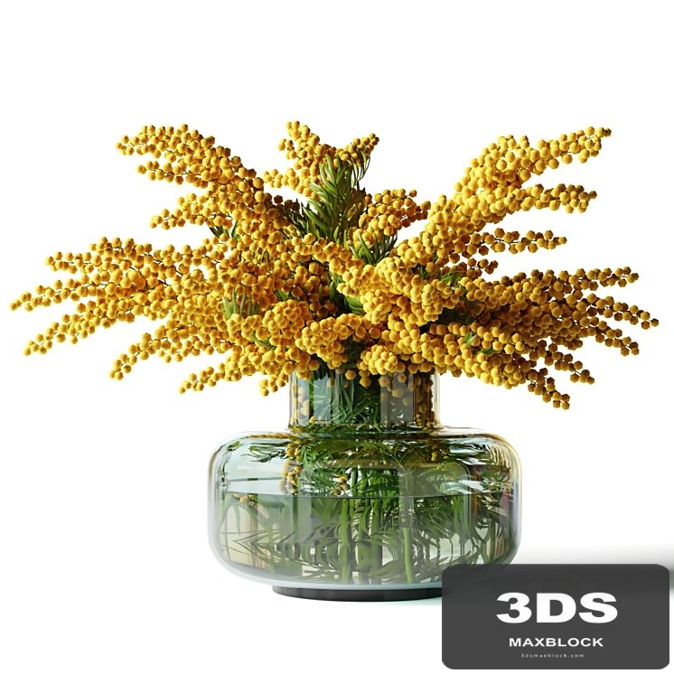 Mimosa in a low glass vase