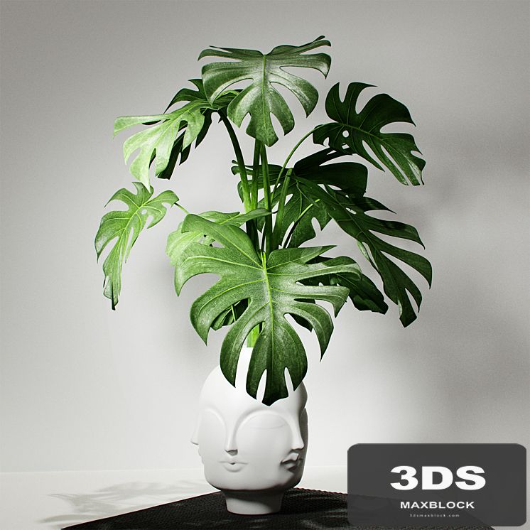 Monstera vase DORA MAAR by Jonathan Adler