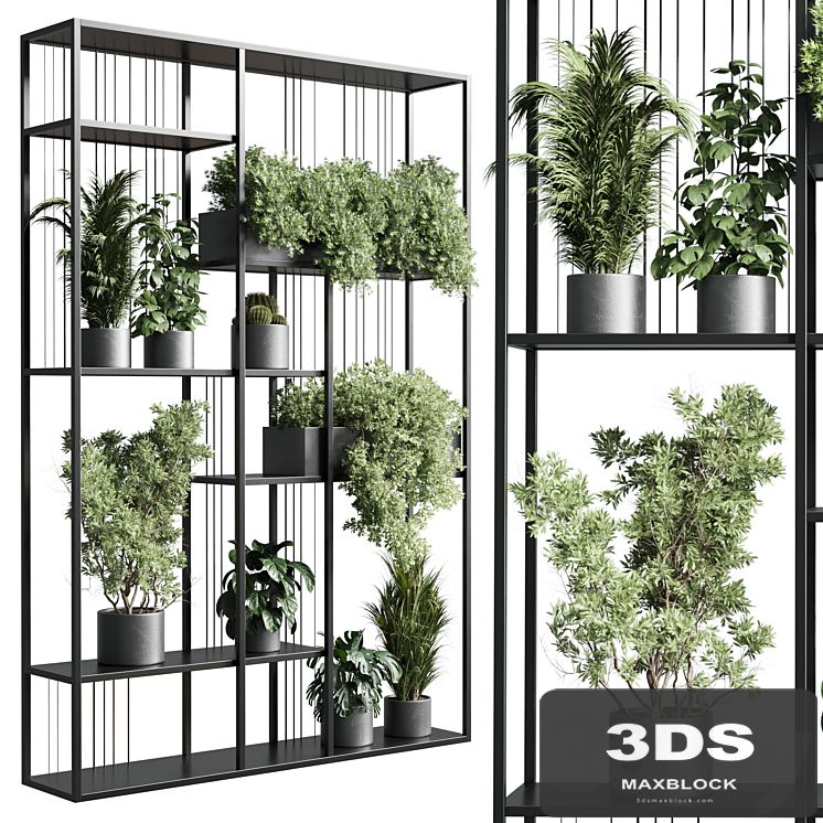 Standing metal shelf with a set of plants in concrete and metal boxes 325