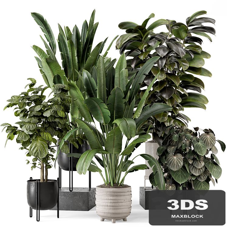 Indoor Plants in Ferm Living Bau Pot Large - Set 1208