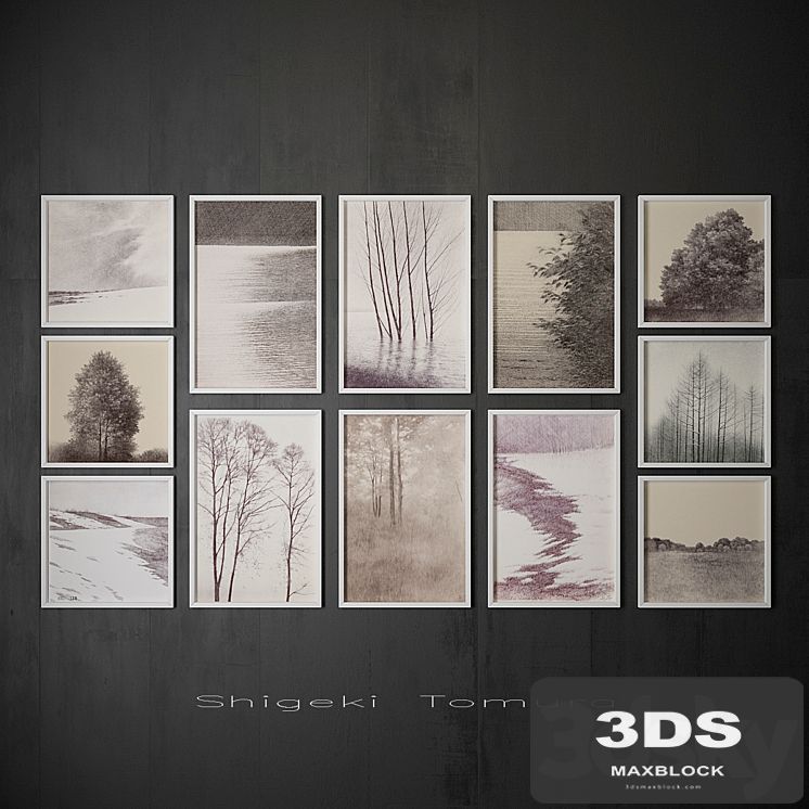 Pictures Shigeki Tomura