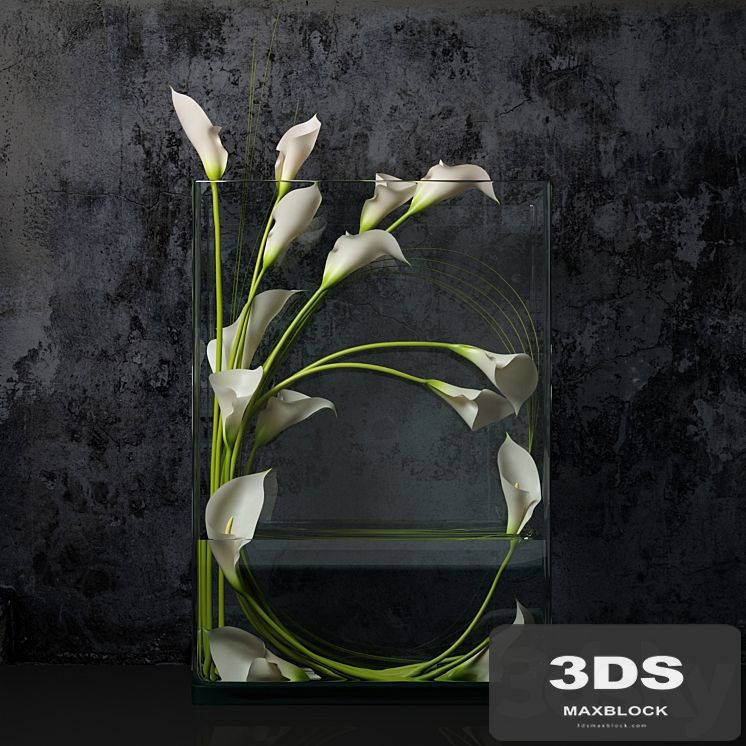 White calla