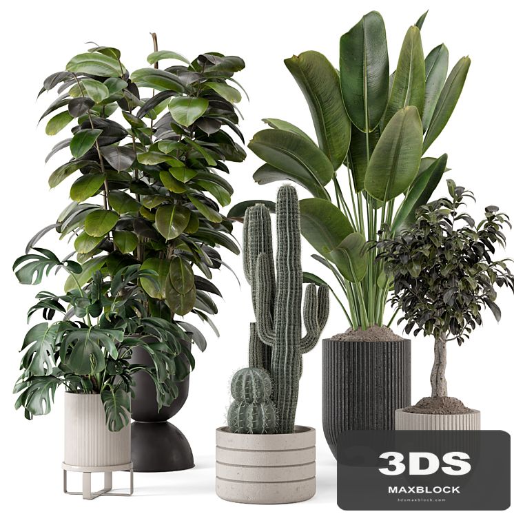 Indoor Plants in Ferm Living Bau Pot Large - Set 1220