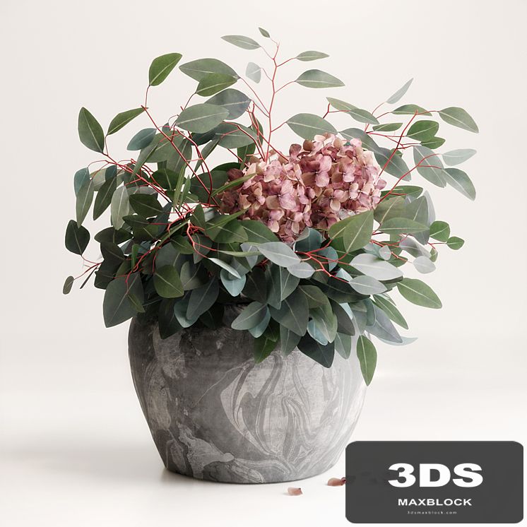 Bouquet of Eucalyptus with Hydrangea