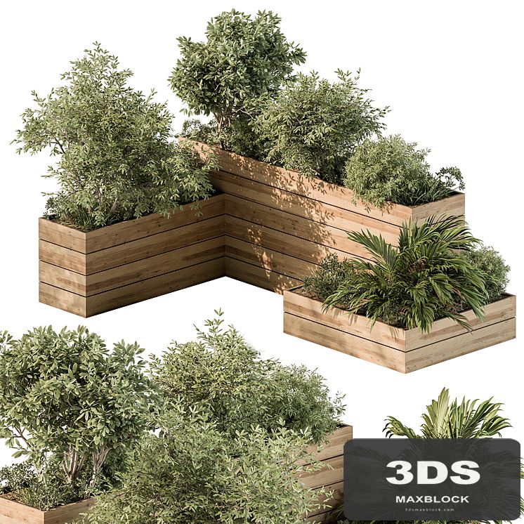 Plant Box - Outdoor Plants 487