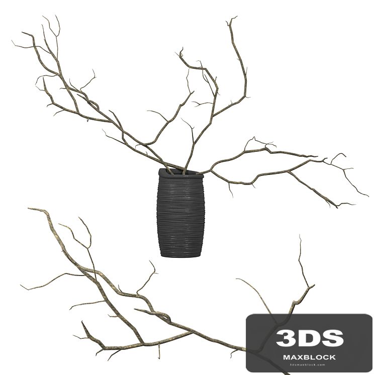 Branches in a vase