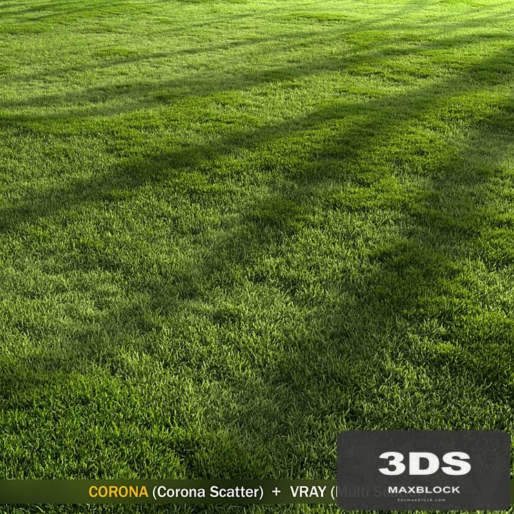 Forest Grass 2