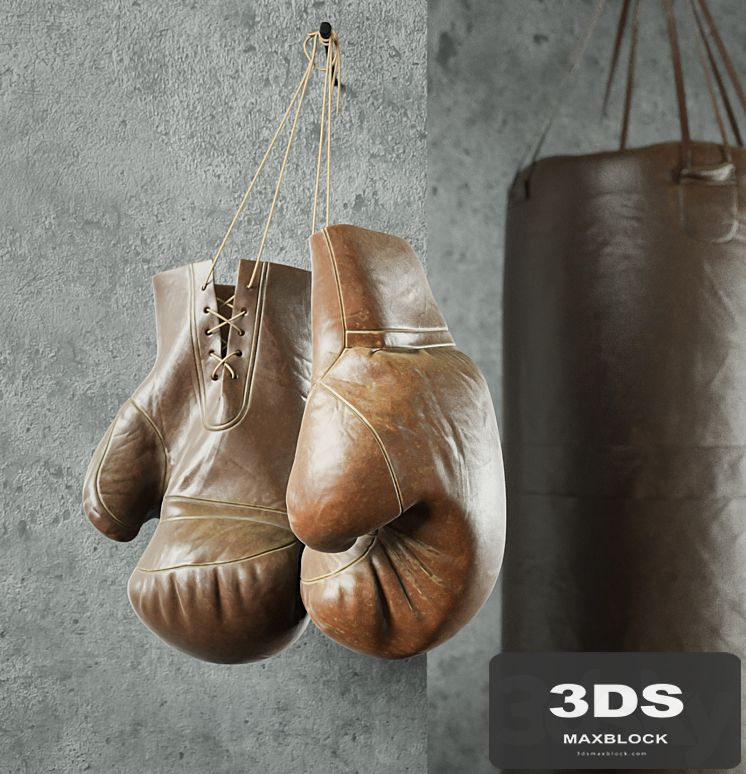 Champion (Boxing equipment)