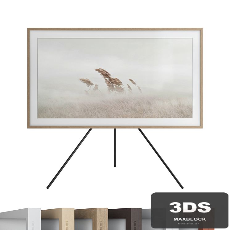 Samsung Class The Frame ArtMode QLED 4K HDR Smart TV (2020)
