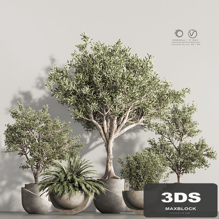 Indoor Plant Set 94