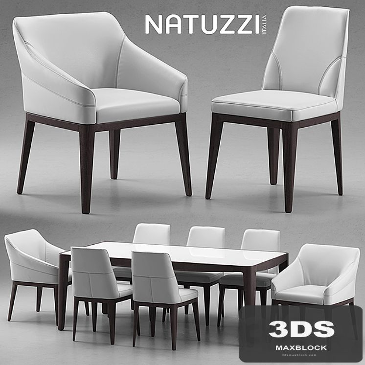 Table and chairs Natuzzi minerva, Saturno, Vesta