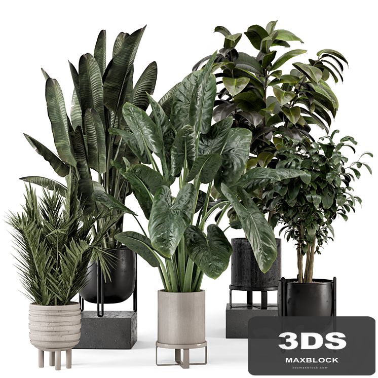 Indoor Plants in Ferm Living Bau Pot Large - Set 1292