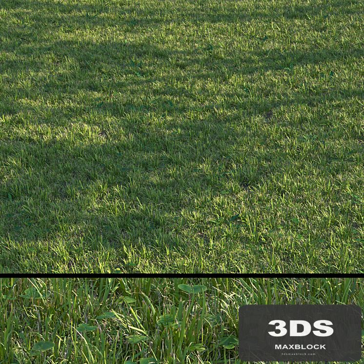 grass set04