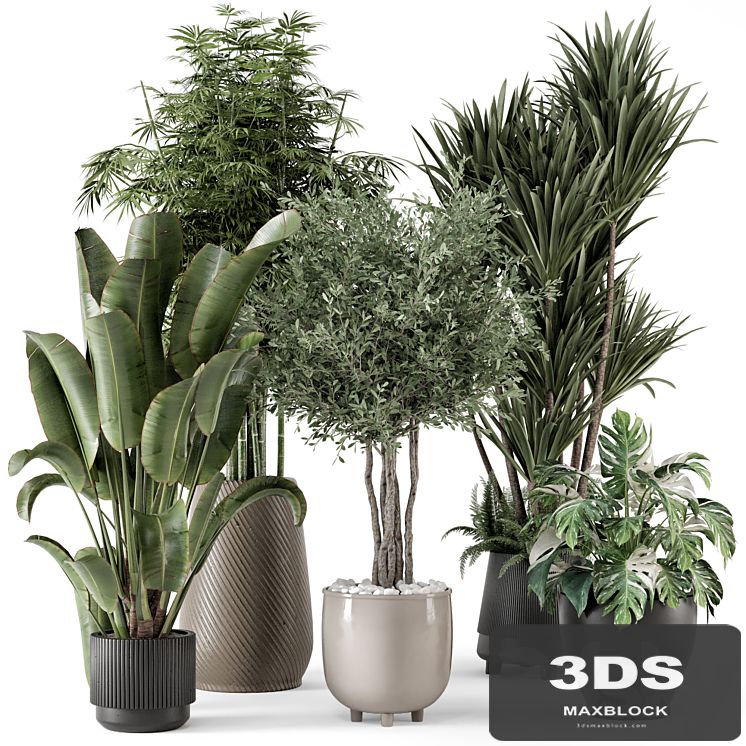 Indoor Plants in Ferm Living Bau Pot Large - Set 1325