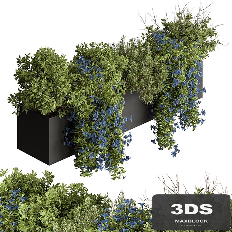 Hanging Plant - Outdoor Plants 503