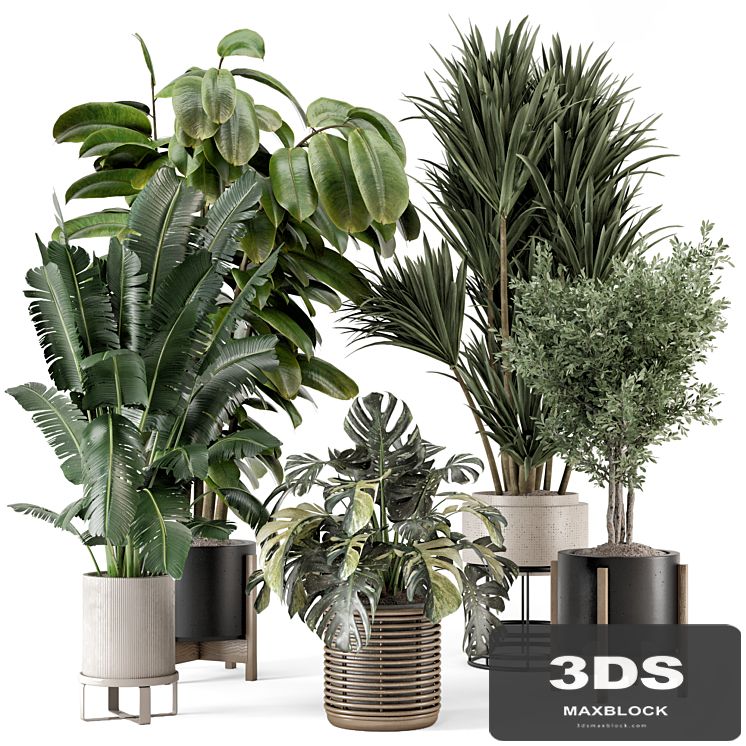 Indoor Plants in Ferm Living Bau Pot Large - Set 1328