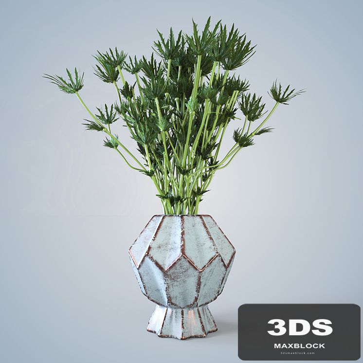 Barb in a vase