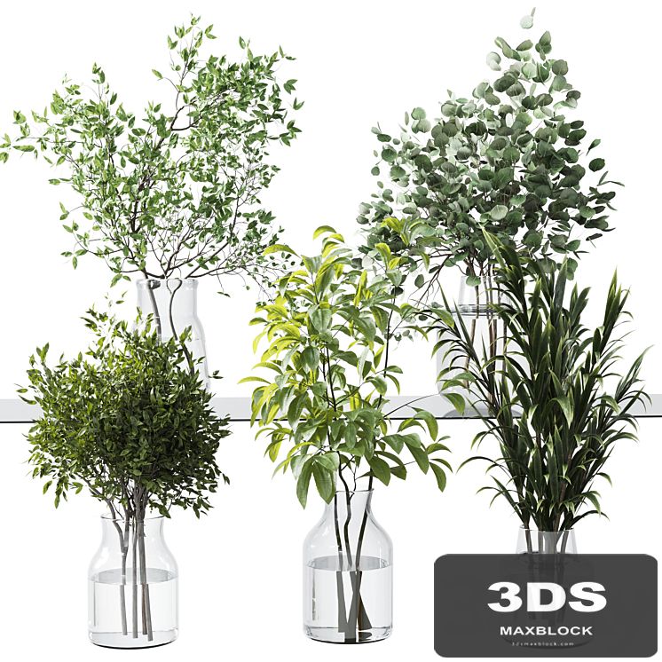 Collection Green Plants Bouquet Indoor 12