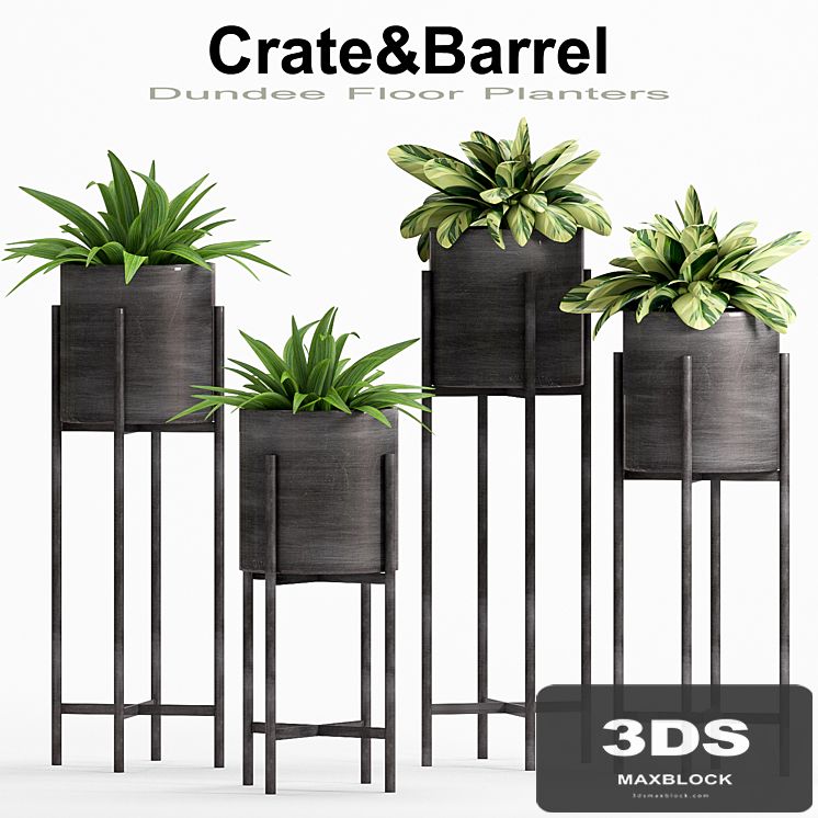 PLANT -21