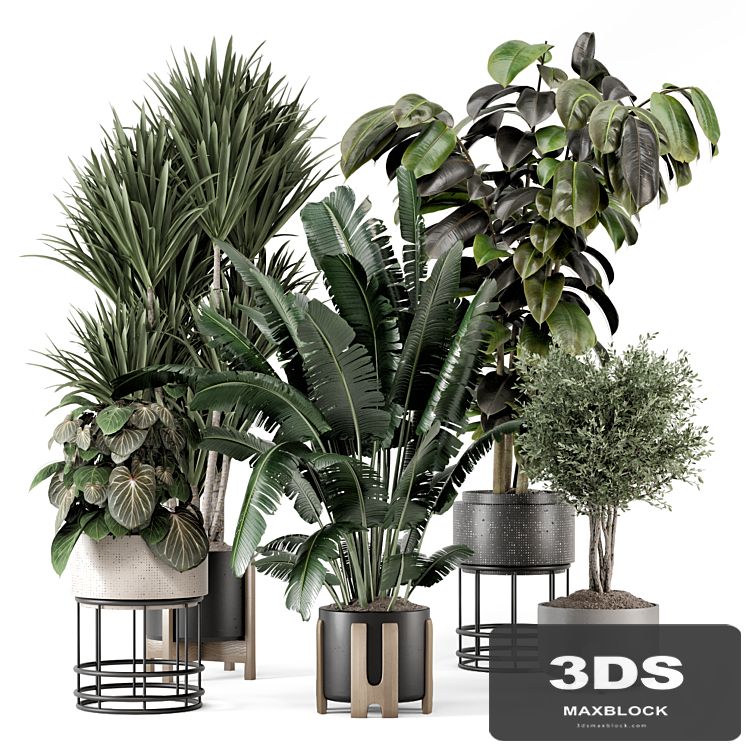 Indoor Plants in Ferm Living Bau Pot Large - Set 1351