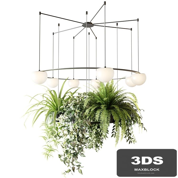 CIRC Suspension lamps Pendants chandelier with ampelous plants