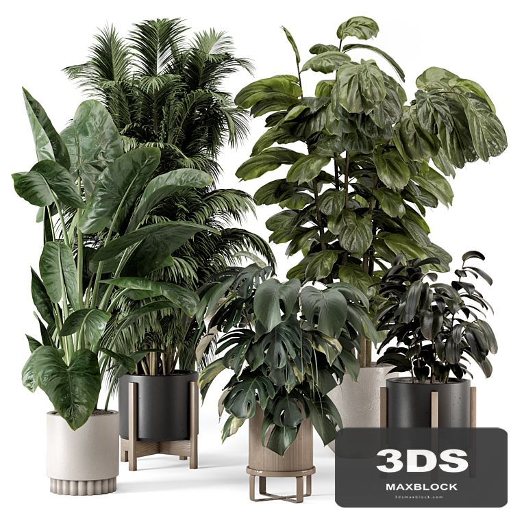 Indoor Plants in Ferm Living Bau Pot Large - Set 1361